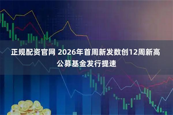 正规配资官网 2026年首周新发数创12周新高 公募基金发行提速